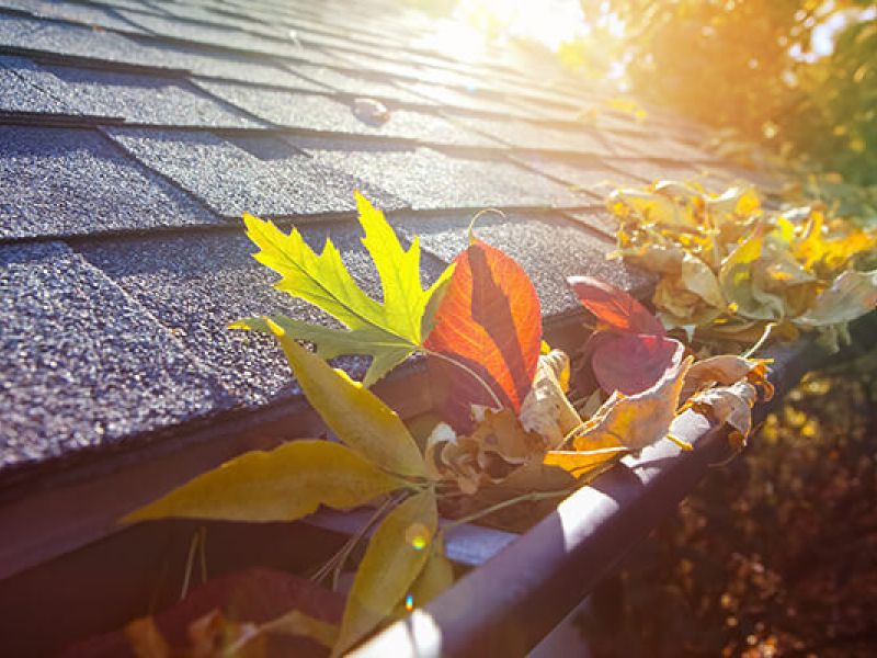 Gutters can get full of leaves and debris leading to roof dammage.
