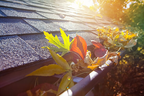 Gutter Guards in Memphis TN