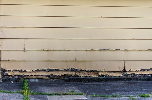 Wood Rot Repair in Memphis TN